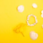 Reddybook Review: How This Innovative Platform Boosts Learning and Connects with 11xplay